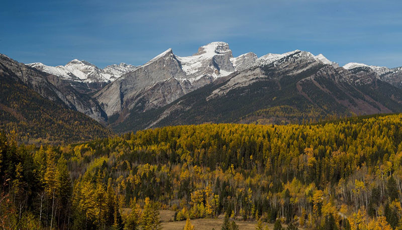 Autumn mountains and forest in the East Kootenays near Fernie BC